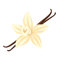 Vanille
